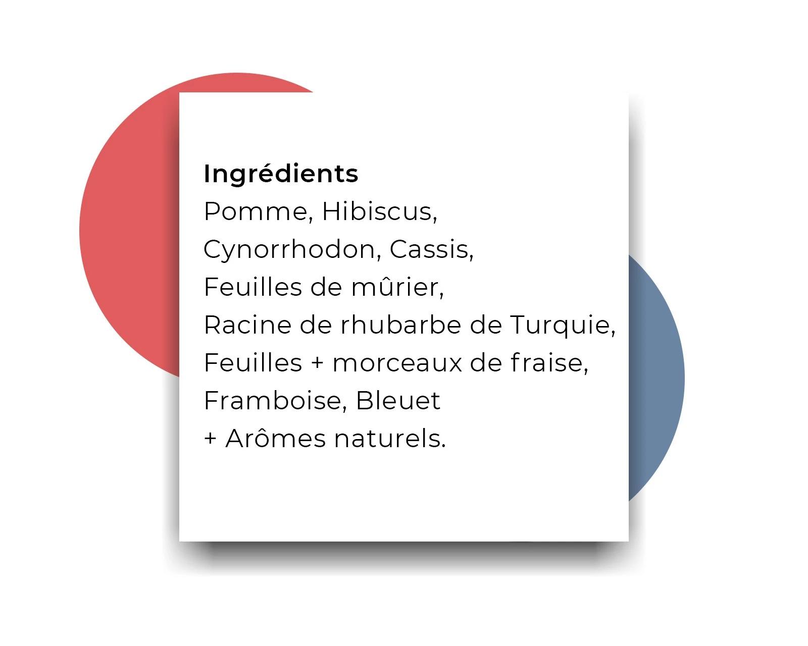 Thé Fraise Rhubarbe image 4
