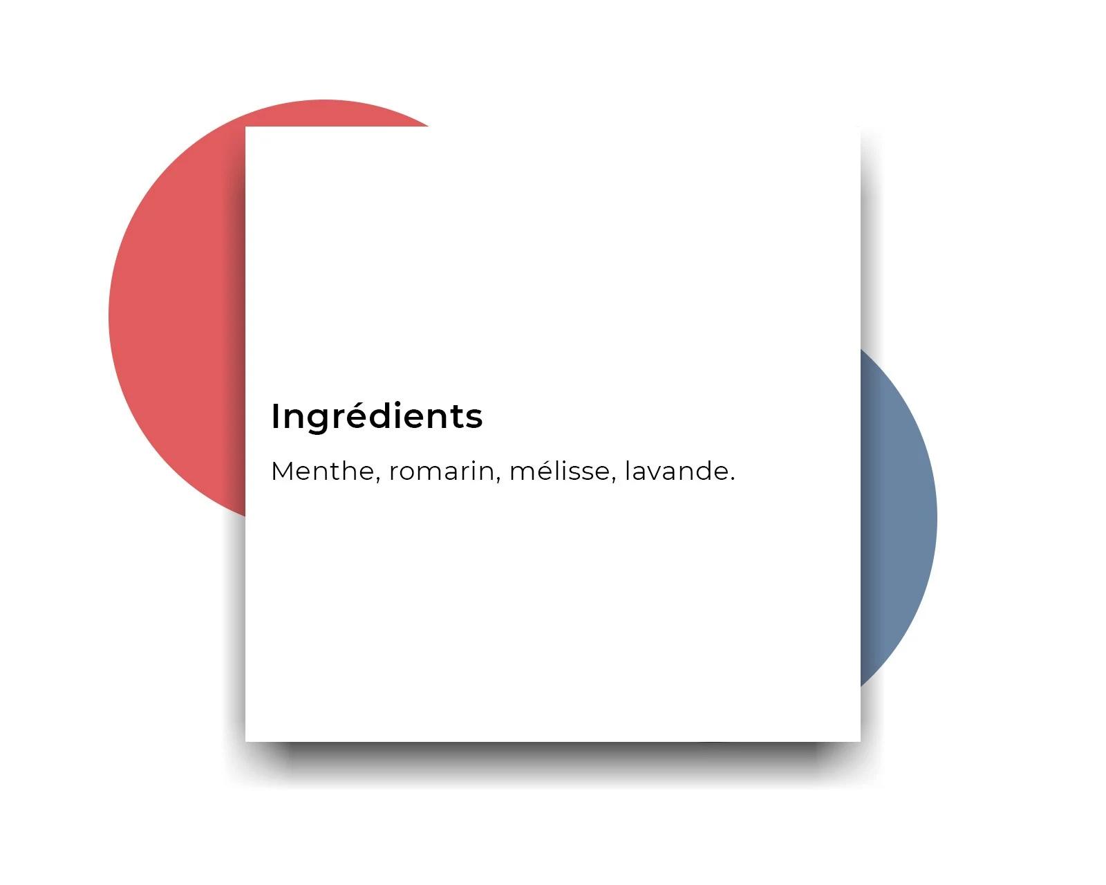 Tisane biologique – La Provençale image 4