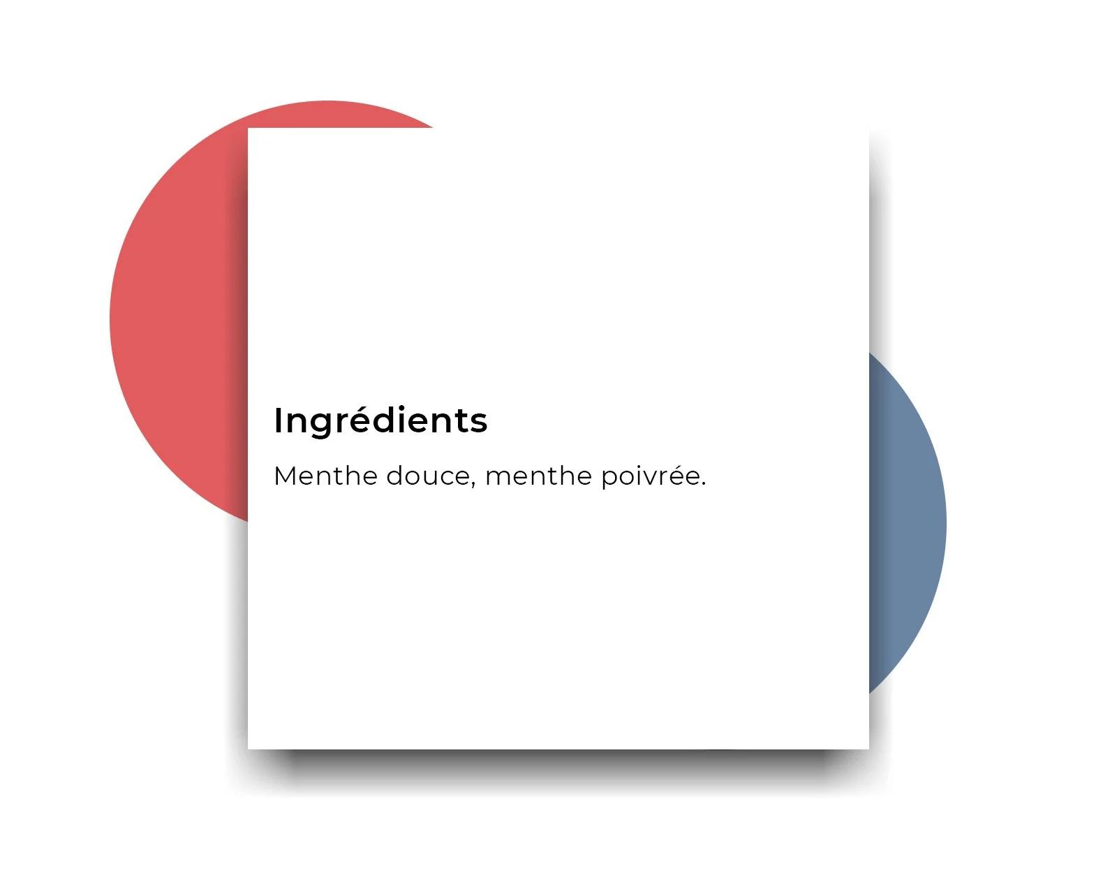 Thé Menthe Biologique image 4